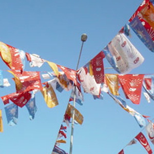 Parti bayrakları