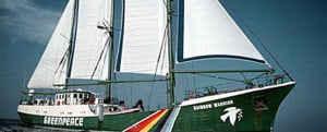 rainbow warrior613