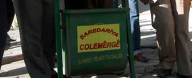 saredariya colemerge 613