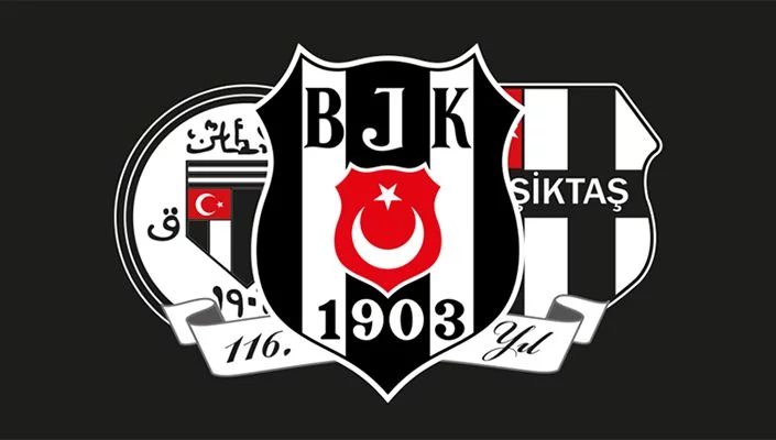Tekinoktay'ın ardından Adalı ve Çebi de resmen aday 31 bjk116