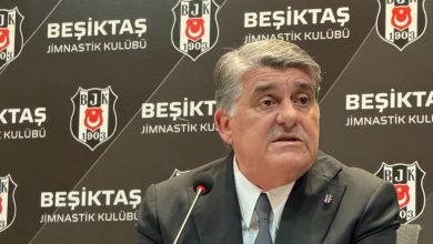 Beşiktaş Başkanı Serdal Adalı, düzenlediği basın toplantısında Dikilitaş Projesi ile ilgili olarak "Beşiktaş için en büyük geliri getirecek bir projenin kapısındayız" dedi