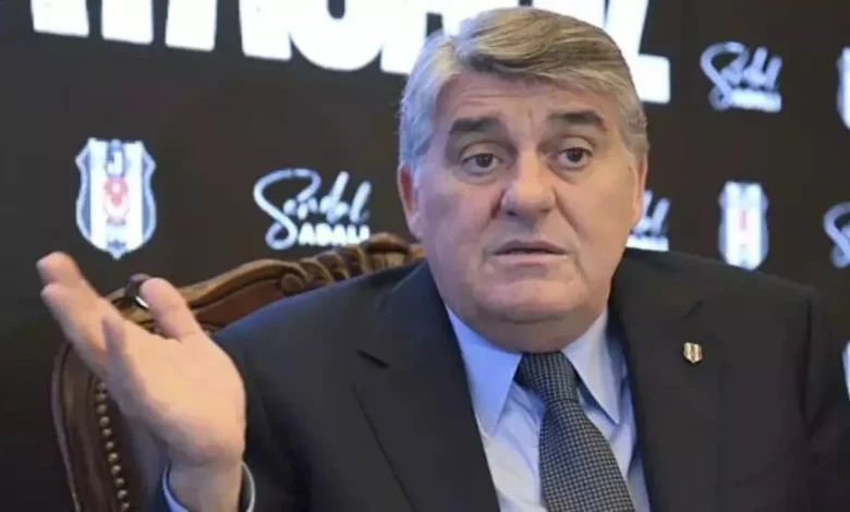 Dikilitaş Projesi: Serdal Adalı'nın Dikilitaş Projesine tepkiler sürüyor